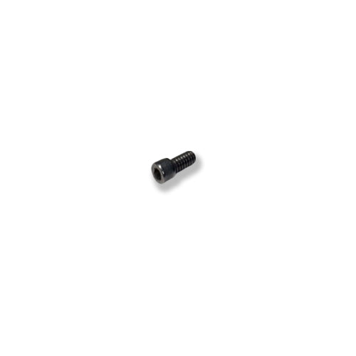 Screw, Socket Head, SS, 0.25-20 x 0.5"