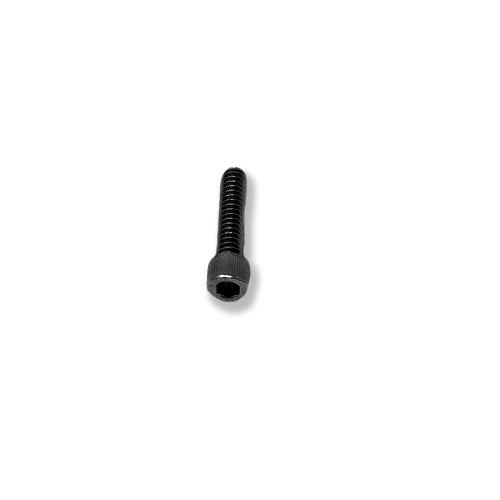 Screw, Socket Head, SS, 0.25-20 x 1.0"