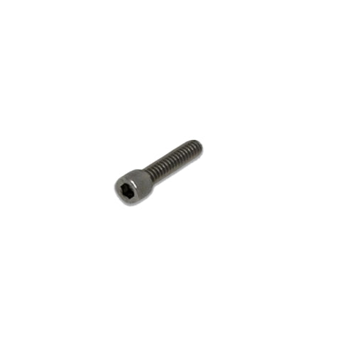 Screw, Socket Head, SS, 0.25-20 x 1.0"